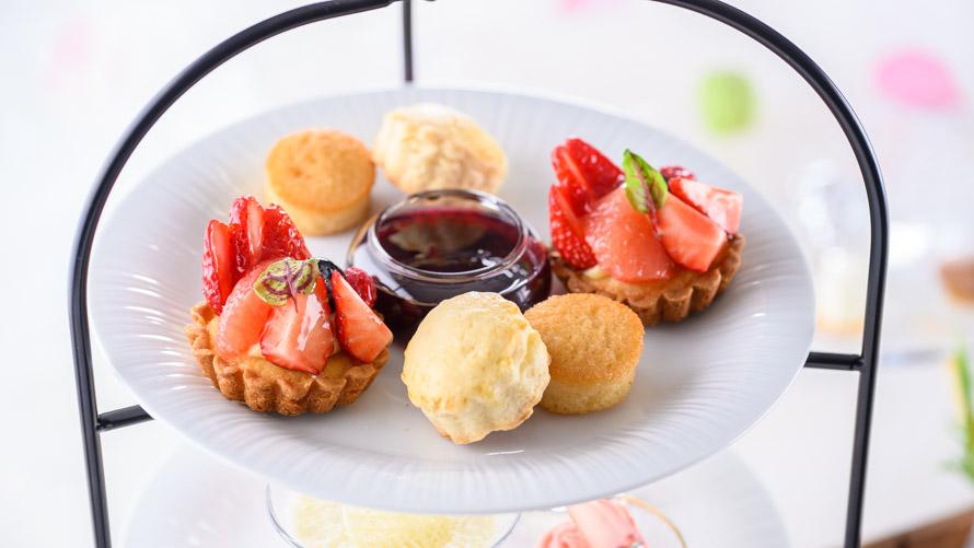 ※画像はイメージです。