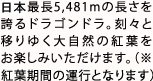 世界最長5,481mの長さを誇るドラゴンドラ。刻々と移りゆく大自然の紅葉をお楽しみいただけます。（※紅葉期間の運行となります）