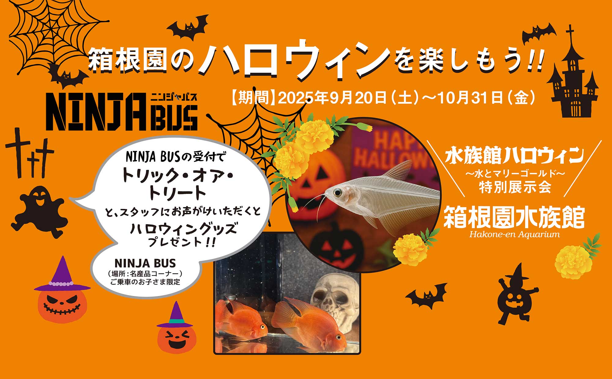 ハロウィン