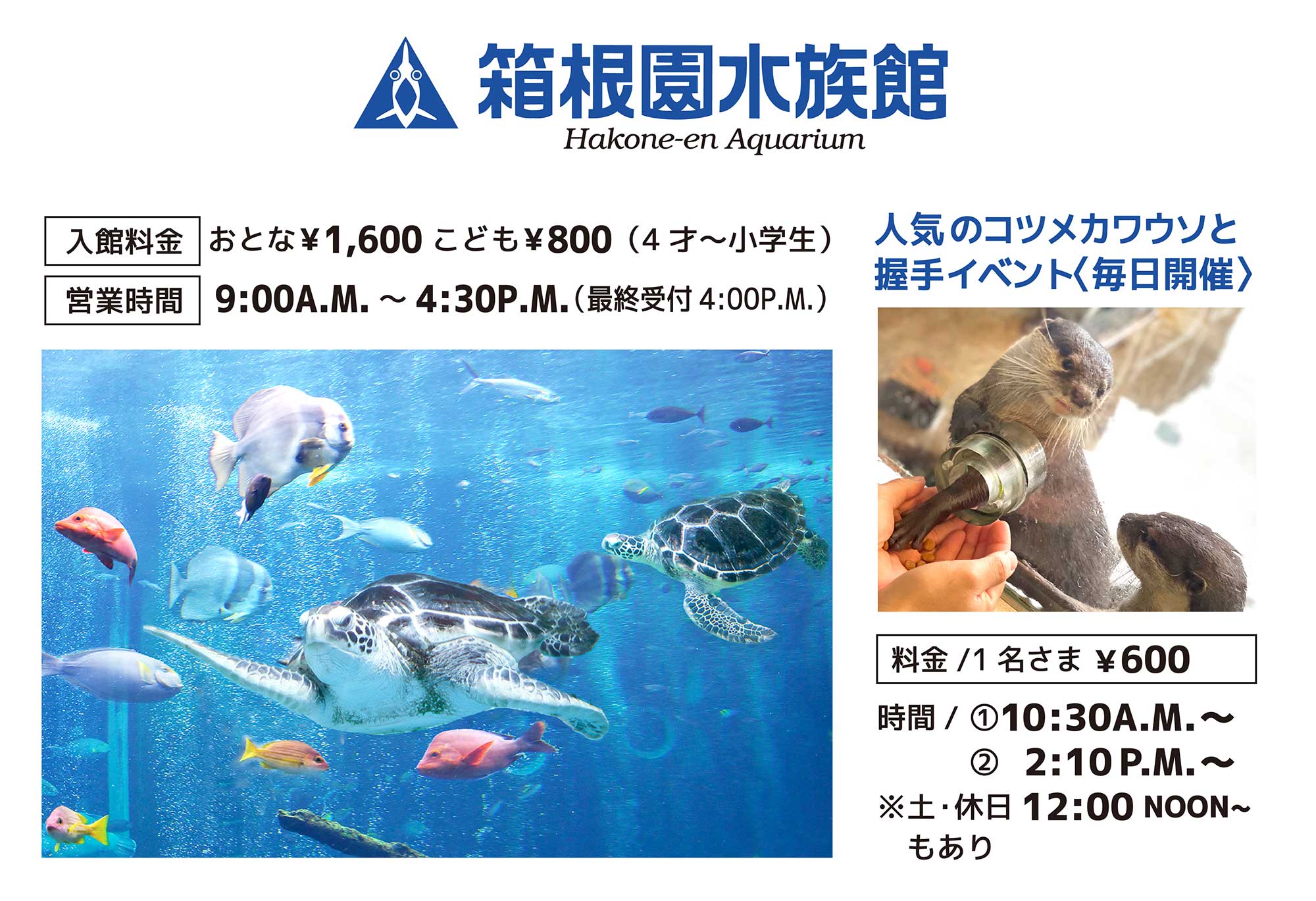 箱根園水族館