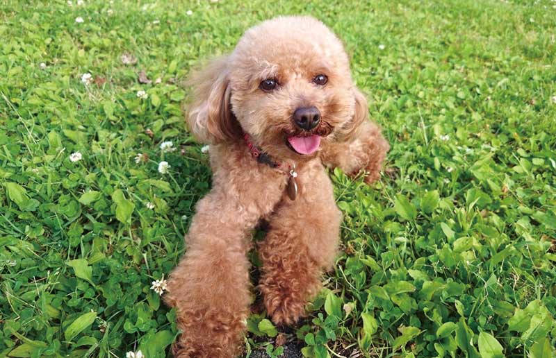 だっこして！ZOO！