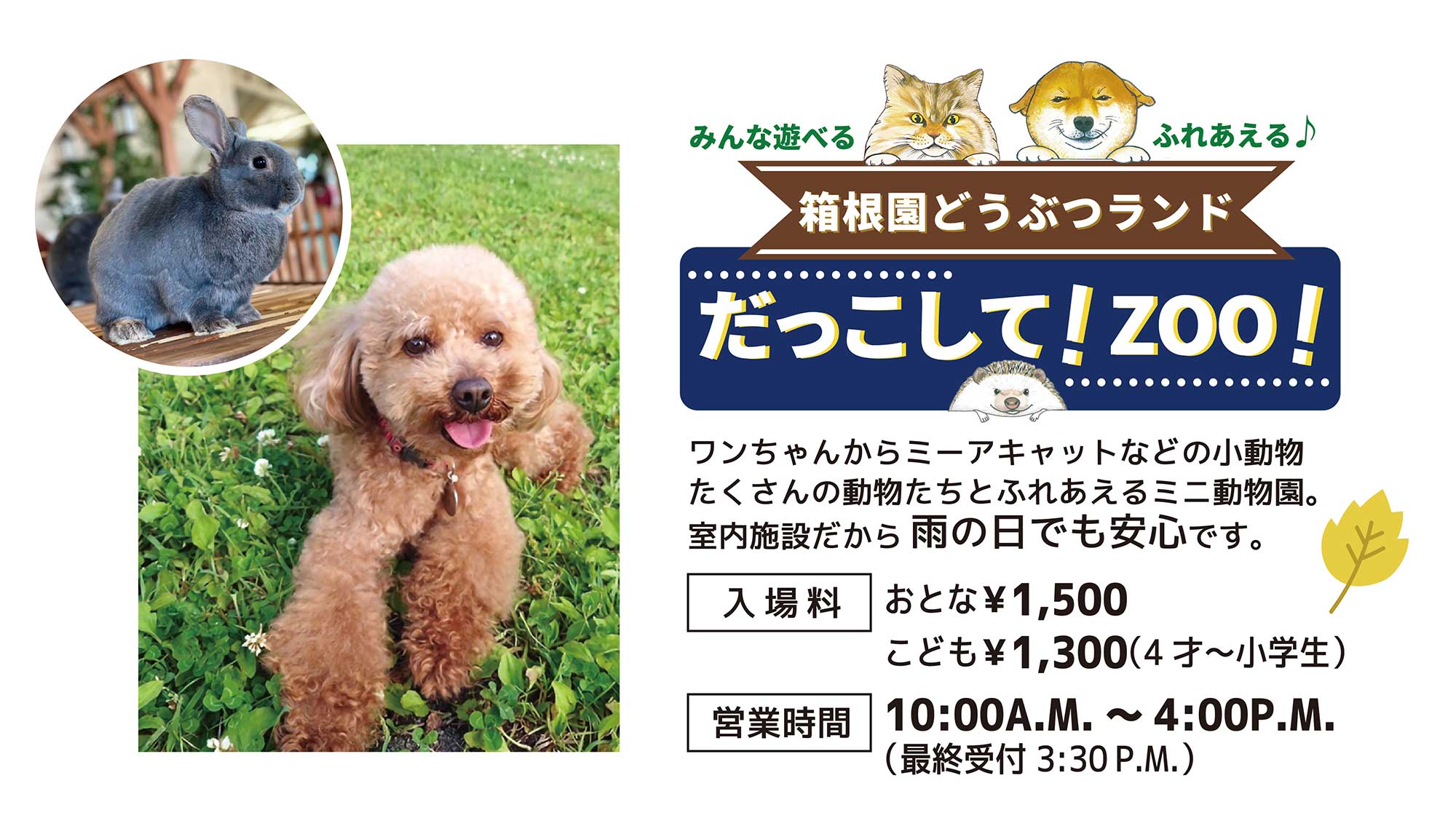 箱根園サマーナイトフェスタ