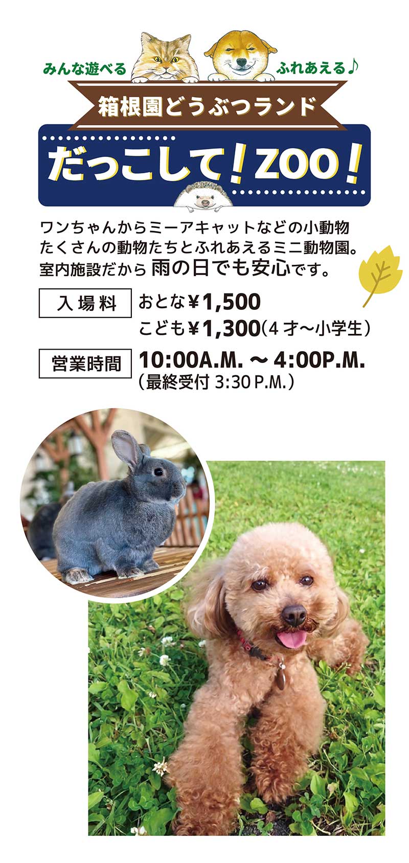 箱根園サマーナイトフェスタ