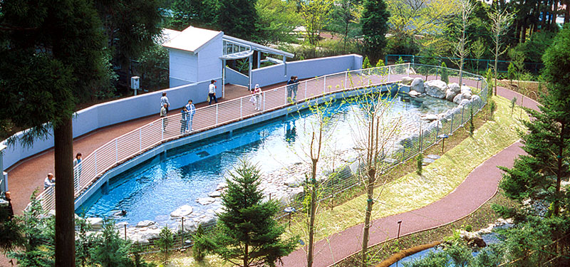 アザラシ広場｜箱根園水族館