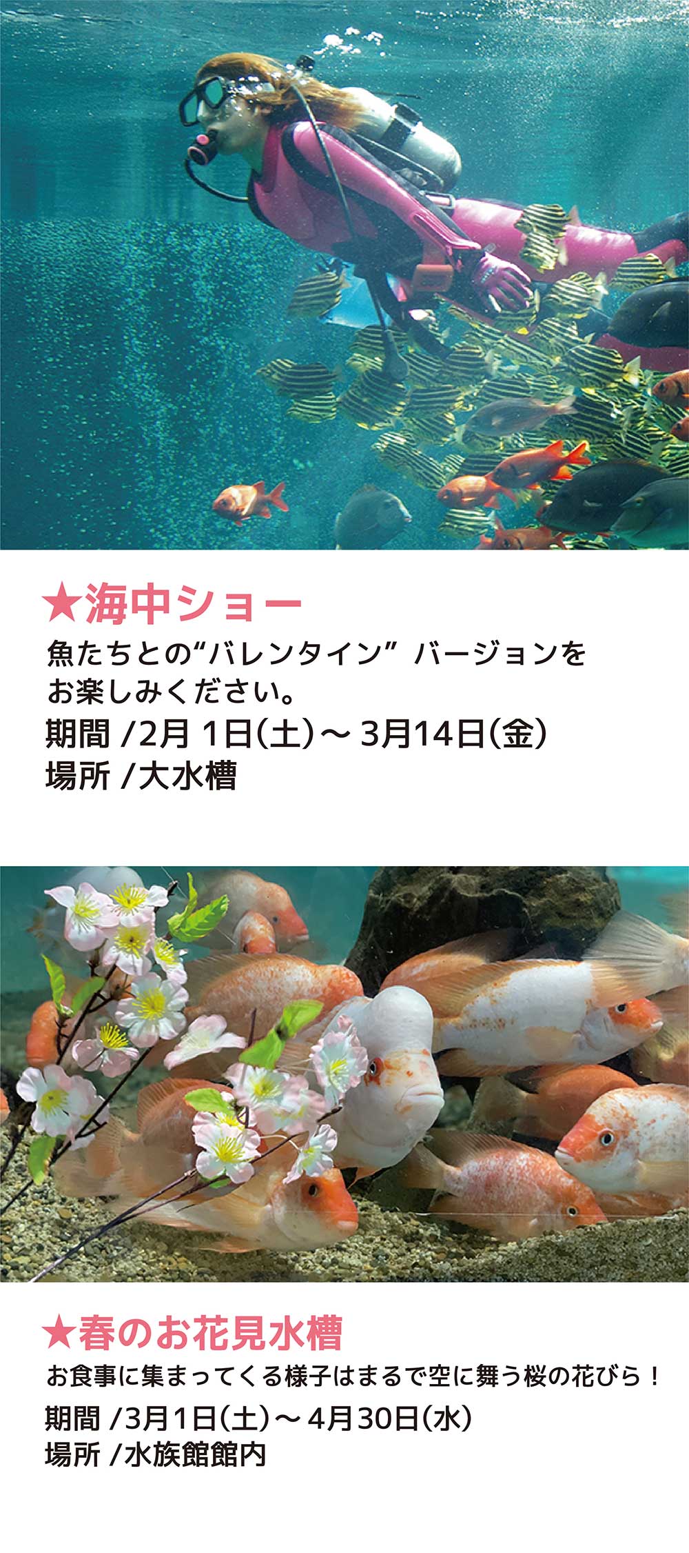 箱根園水族館