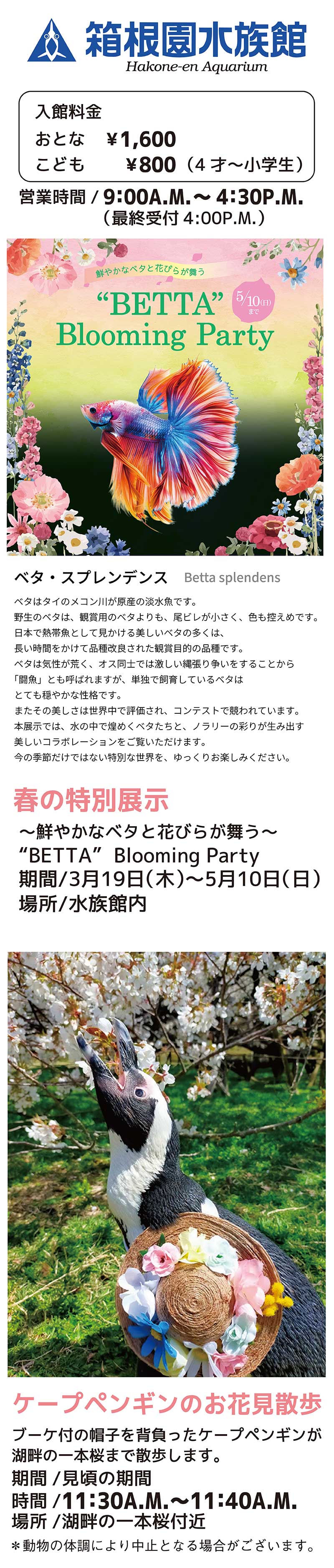箱根園水族館