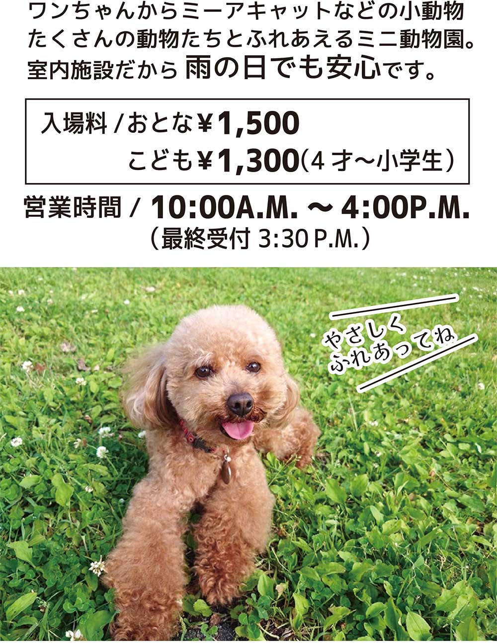 だっこして！ZOO！