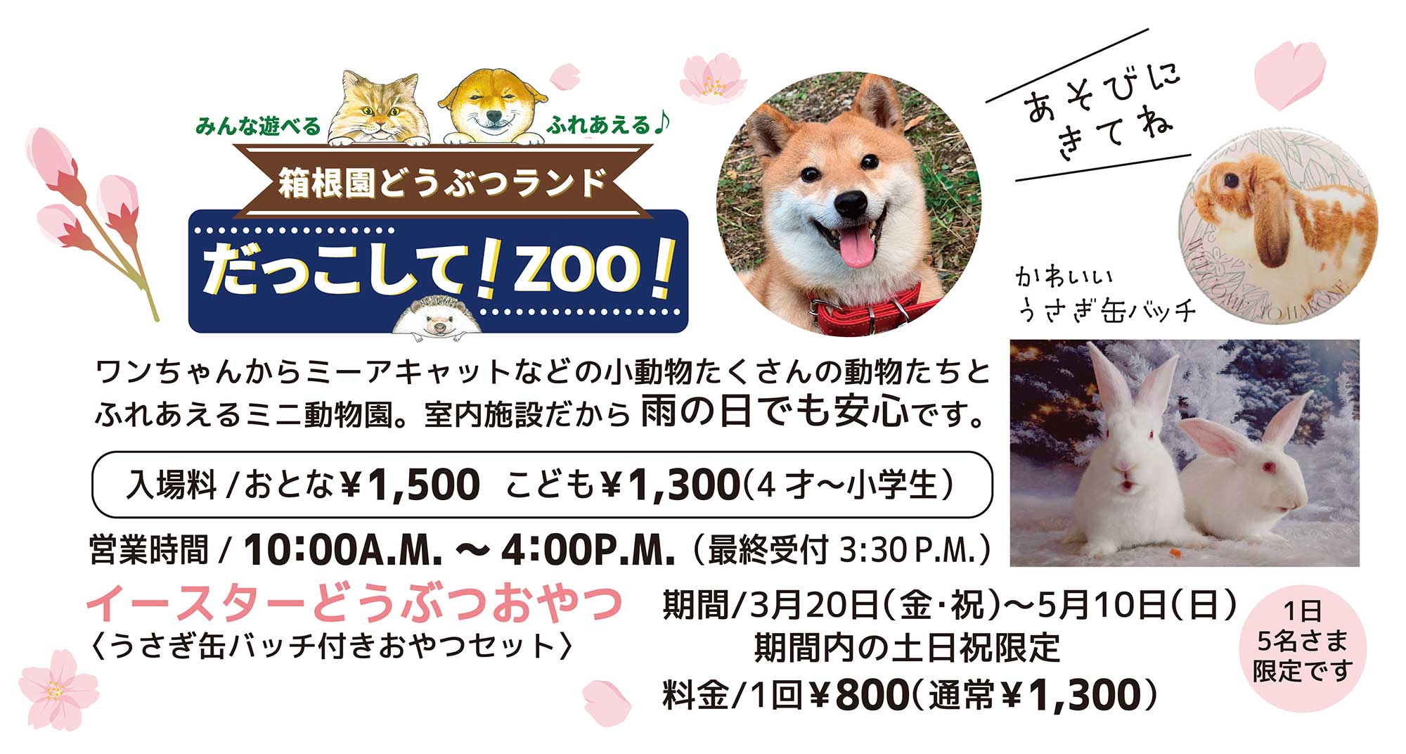 箱根園サマーナイトフェスタ