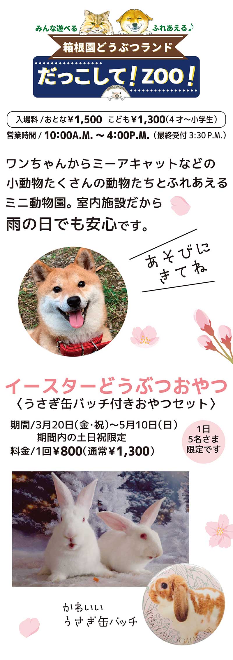 箱根園サマーナイトフェスタ