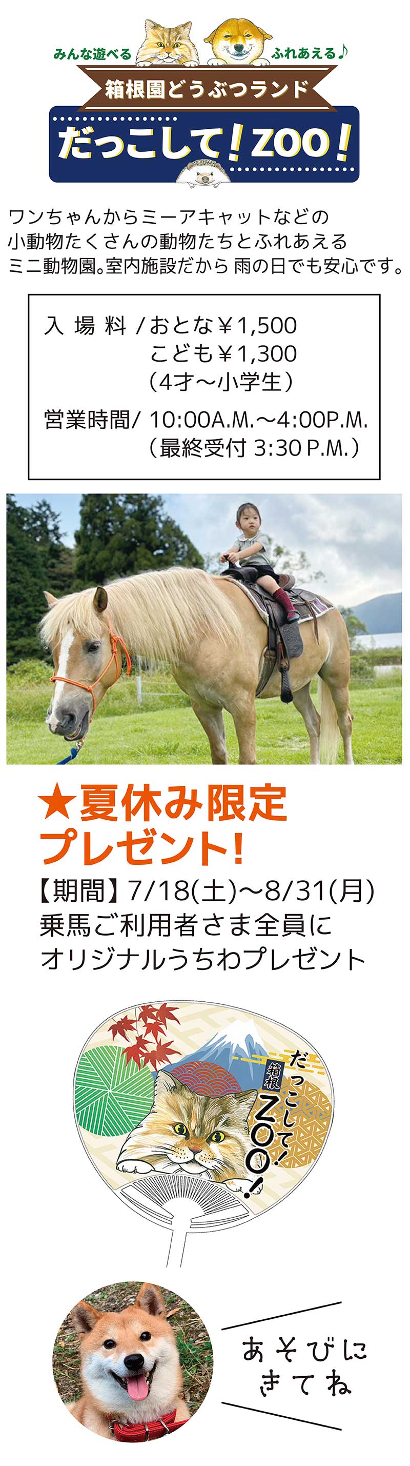 箱根園サマーナイトフェスタ