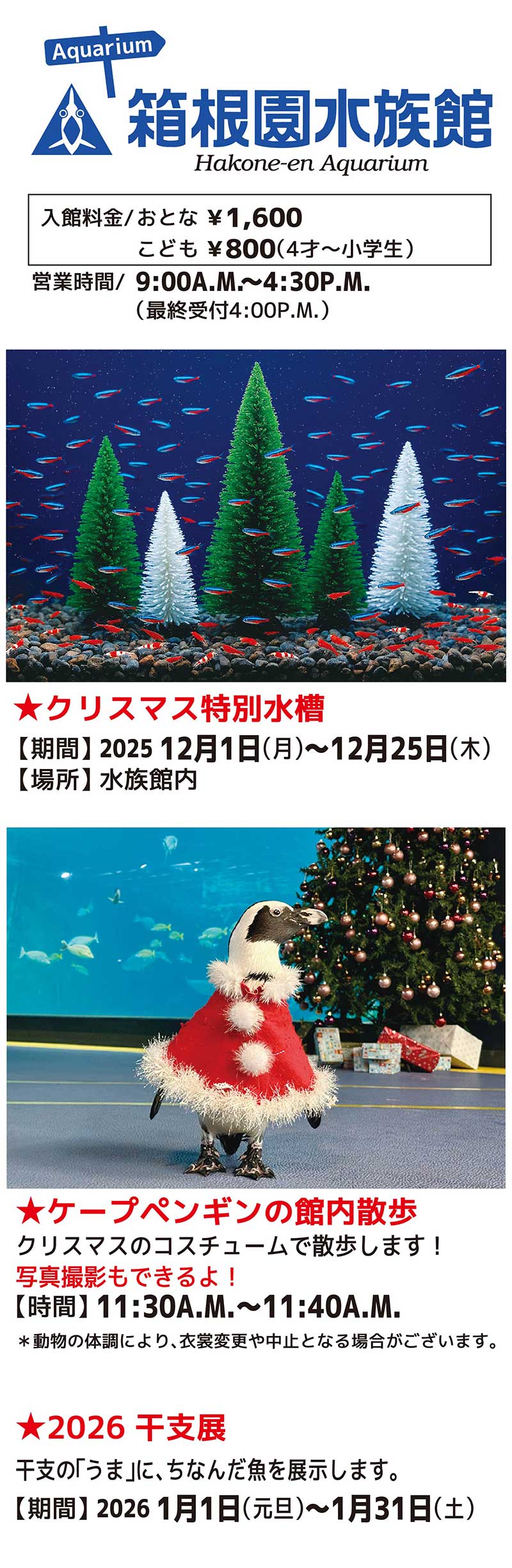 箱根園水族館