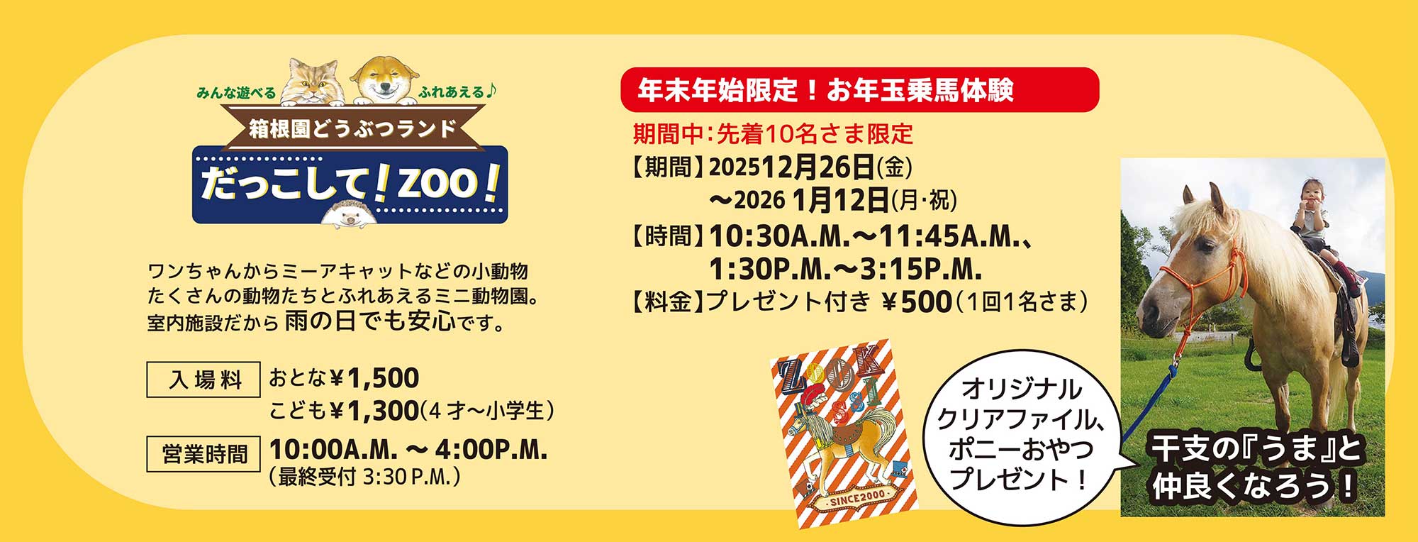 箱根園サマーナイトフェスタ