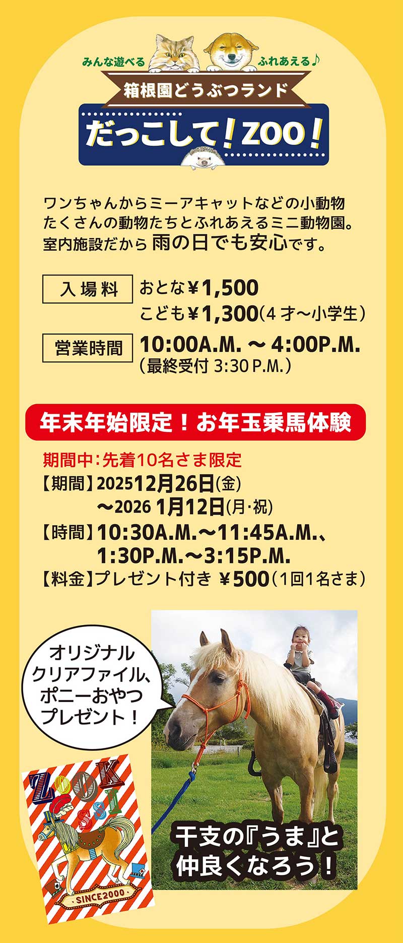 箱根園サマーナイトフェスタ