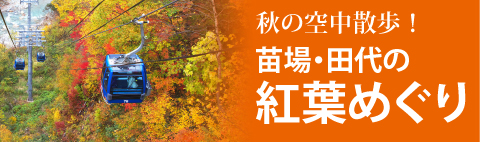 苗場・田代の紅葉めぐり