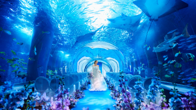 アクアマリン ウエディングセレモニー