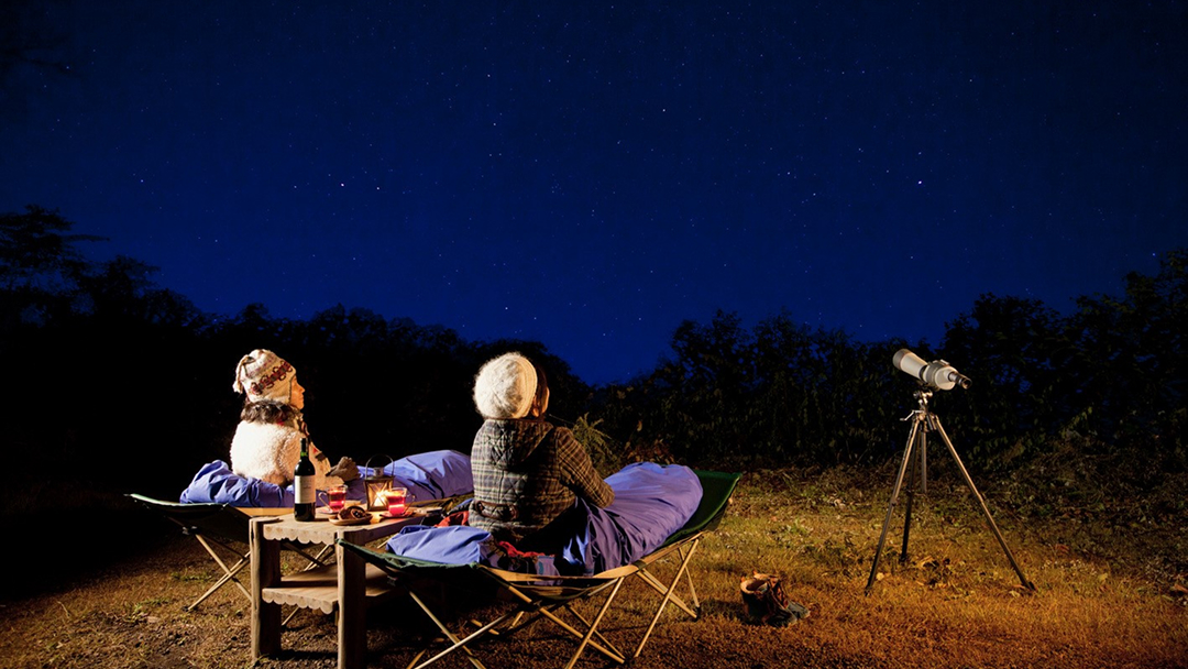 野生動物遭遇率約97%！ 真冬のナイトサファリツアー