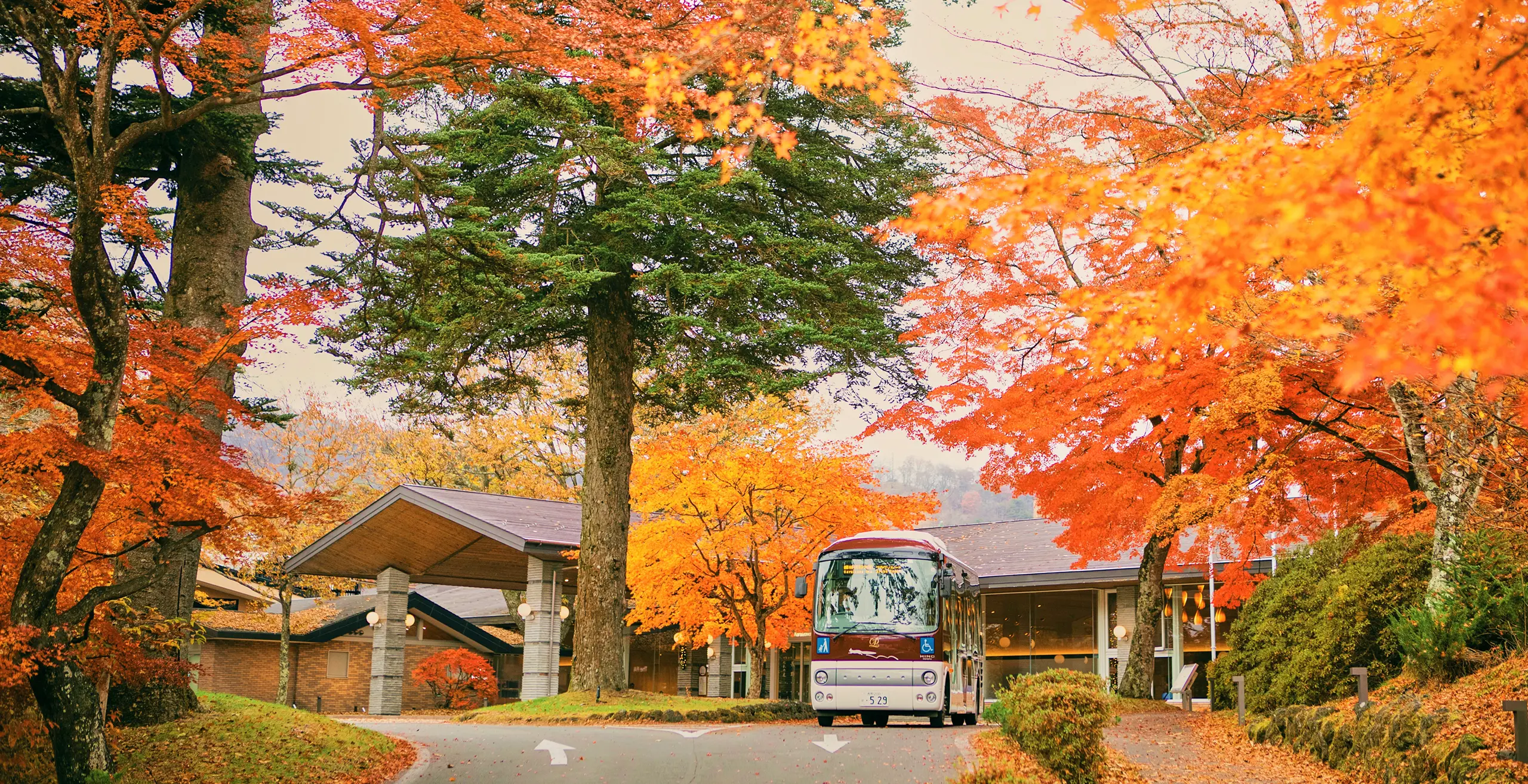 彩り豊かな秋時間