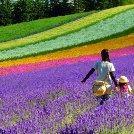 プリンスグランドリゾート富良野