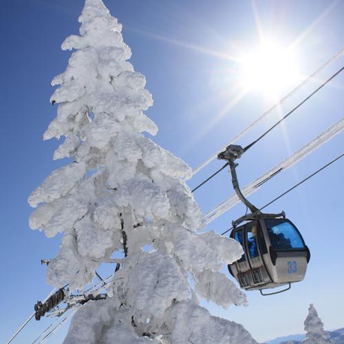 おからだの不自由なお客さまへ