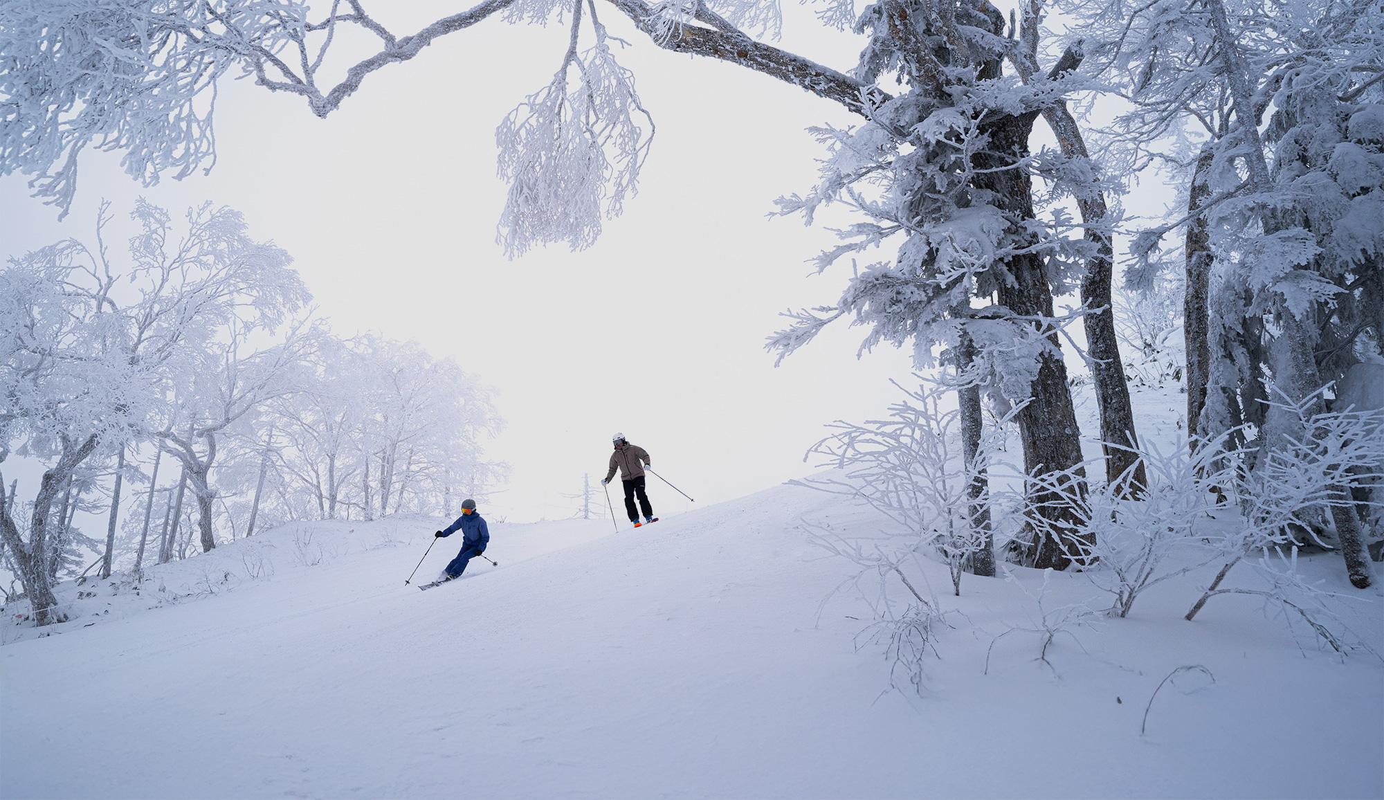 ヘルメット着用推進運動