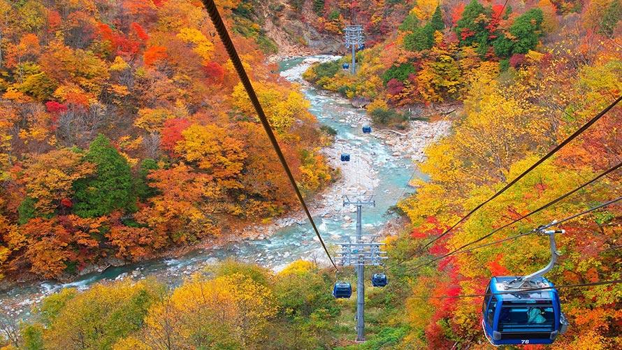 秋の苗場ドラゴンドラ