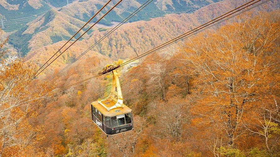 田代ロープウェーで楽しむ秋の絶景
