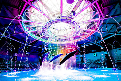 その他レジャー事業