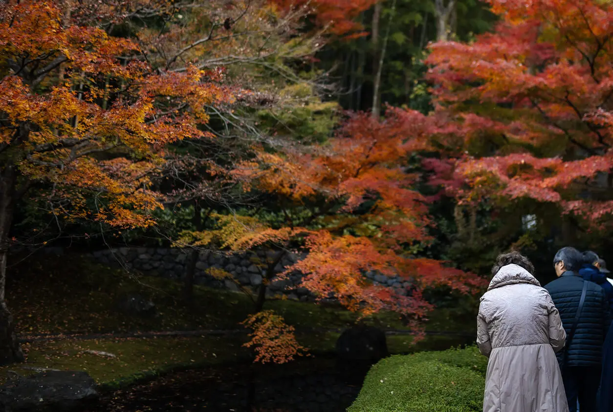 サントリー山崎蒸溜所（特別見学ツアー）