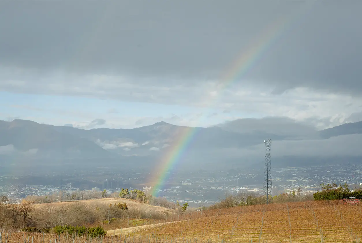 ソムリエと行くワイナリー見学＆特別体験