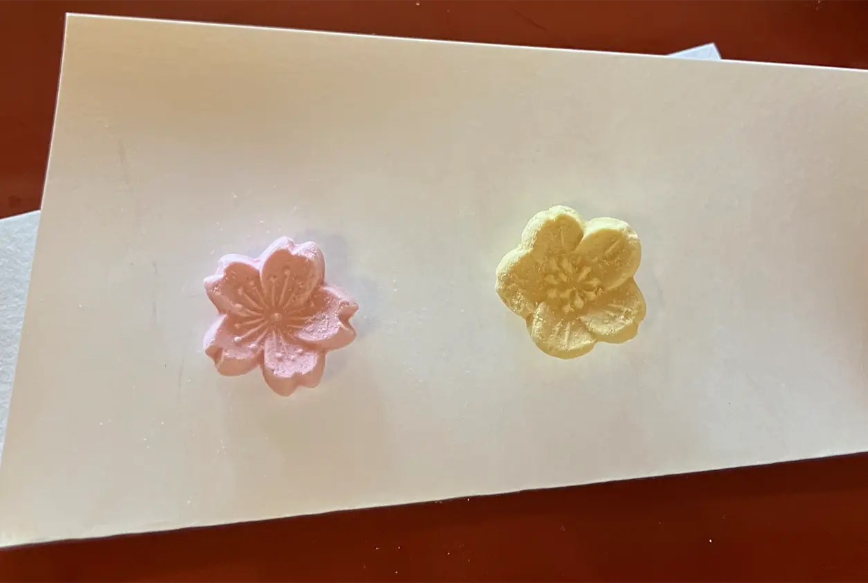 Puppetry Experience and Matcha Service