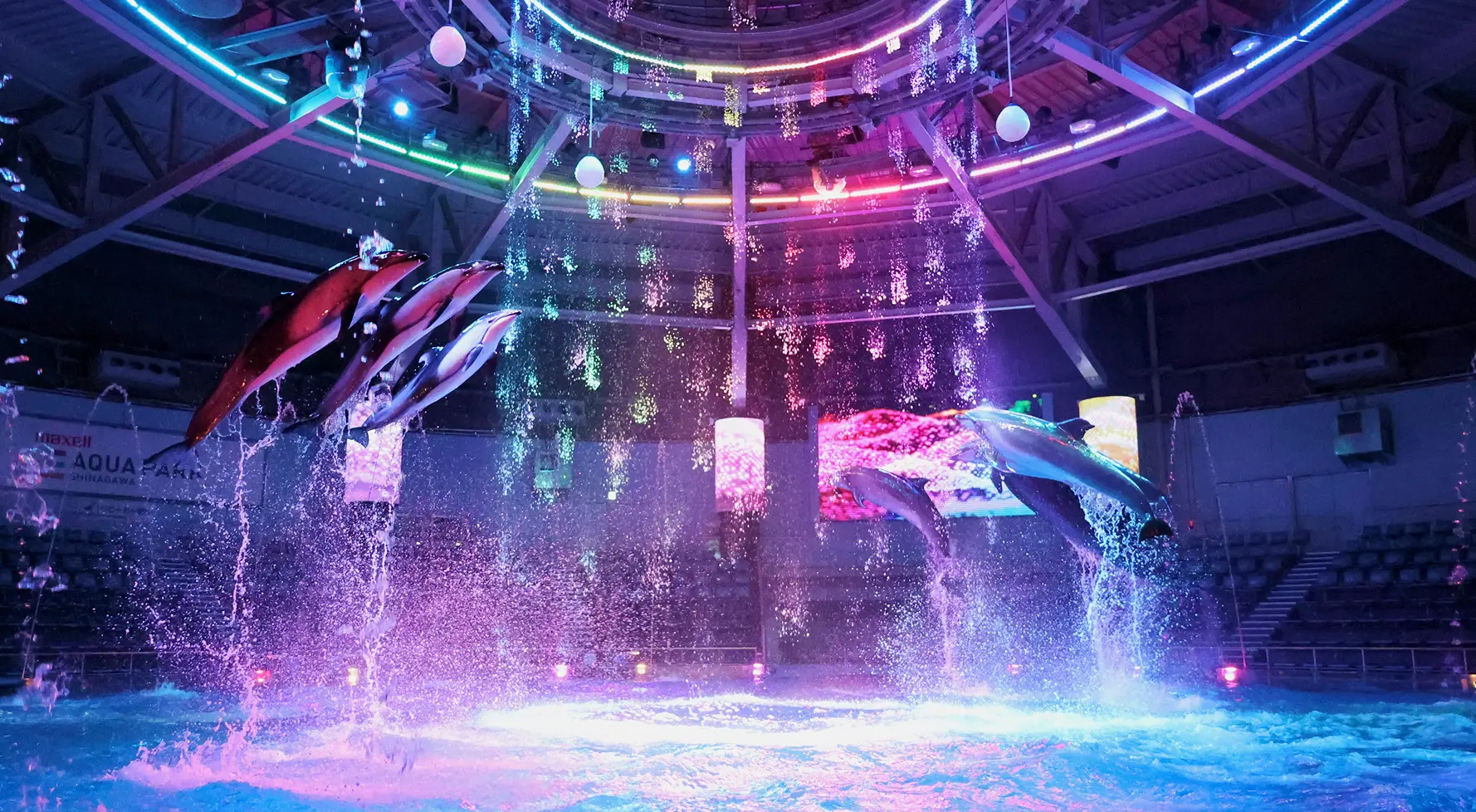 ご家族で楽しめるアクティビティ