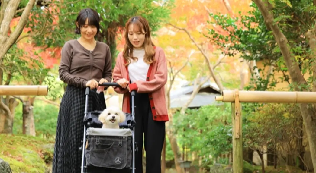 伊⾖⻑岡温泉 三養荘