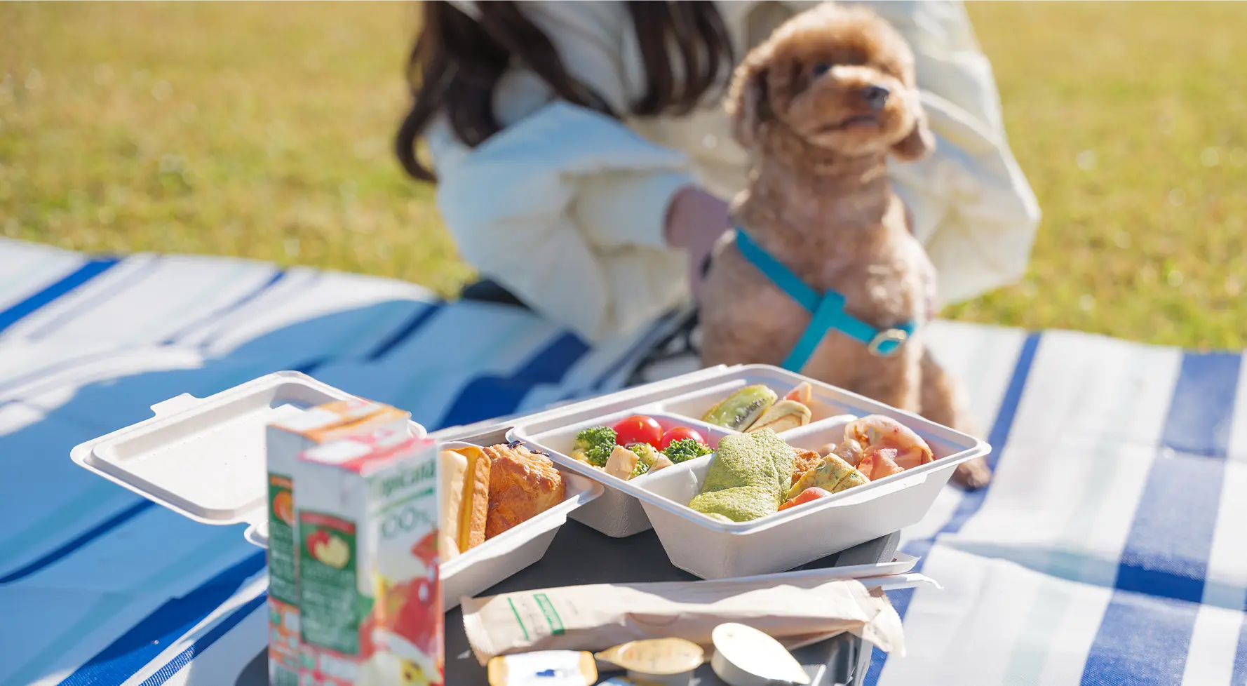ワンちゃんとモーニングピクニック
