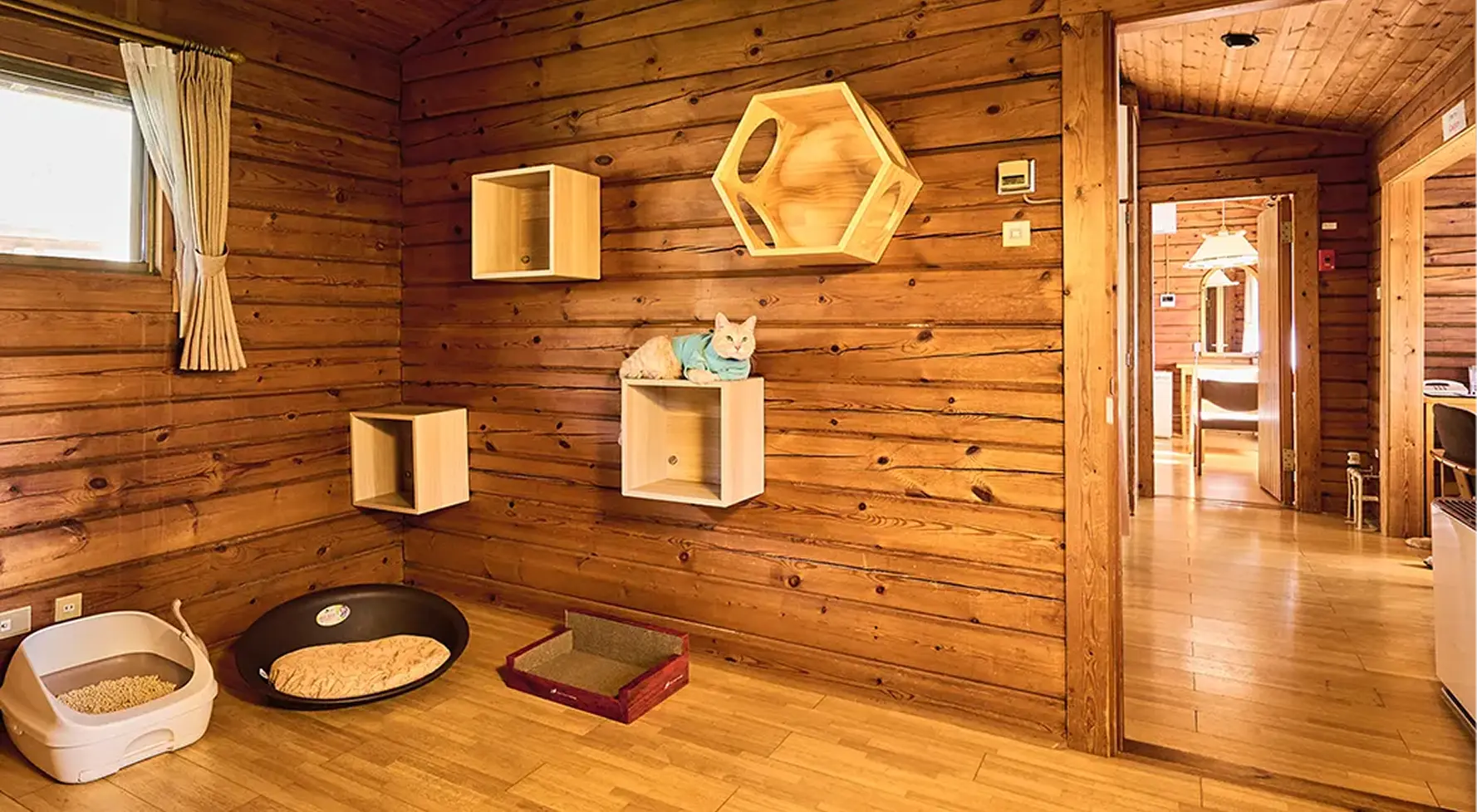 愛猫と泊まれるキャットコテージ