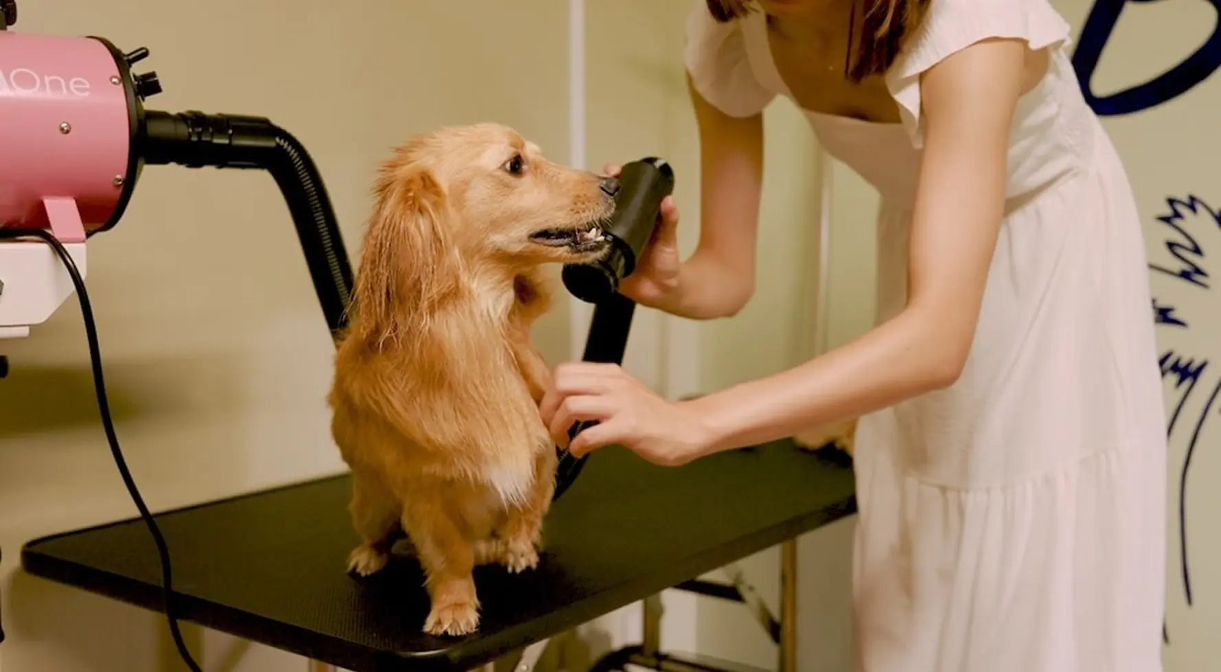 お散歩後も快適なシャワールームやドライルーム