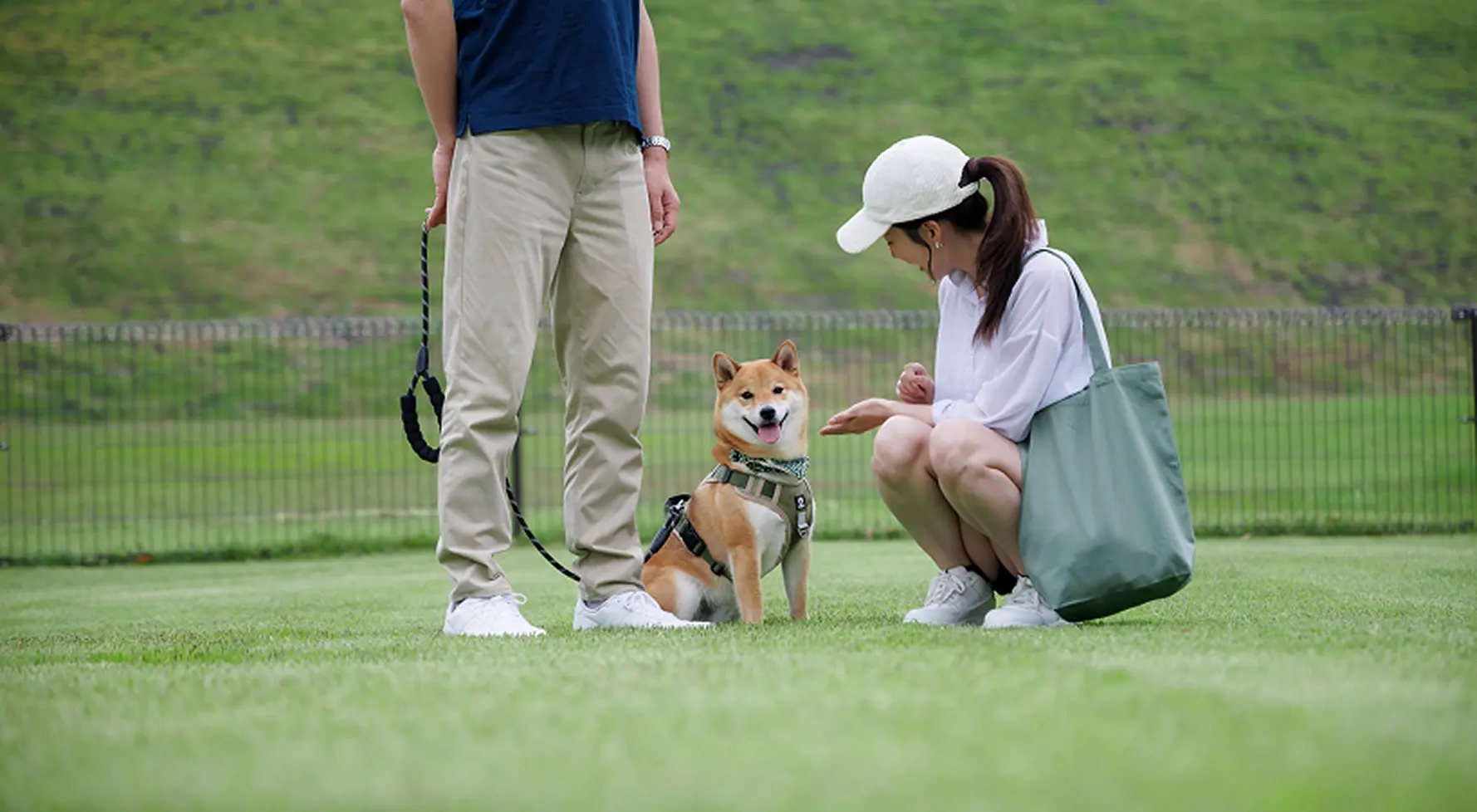 芝⽣のドッグラン（グラスガーデン）