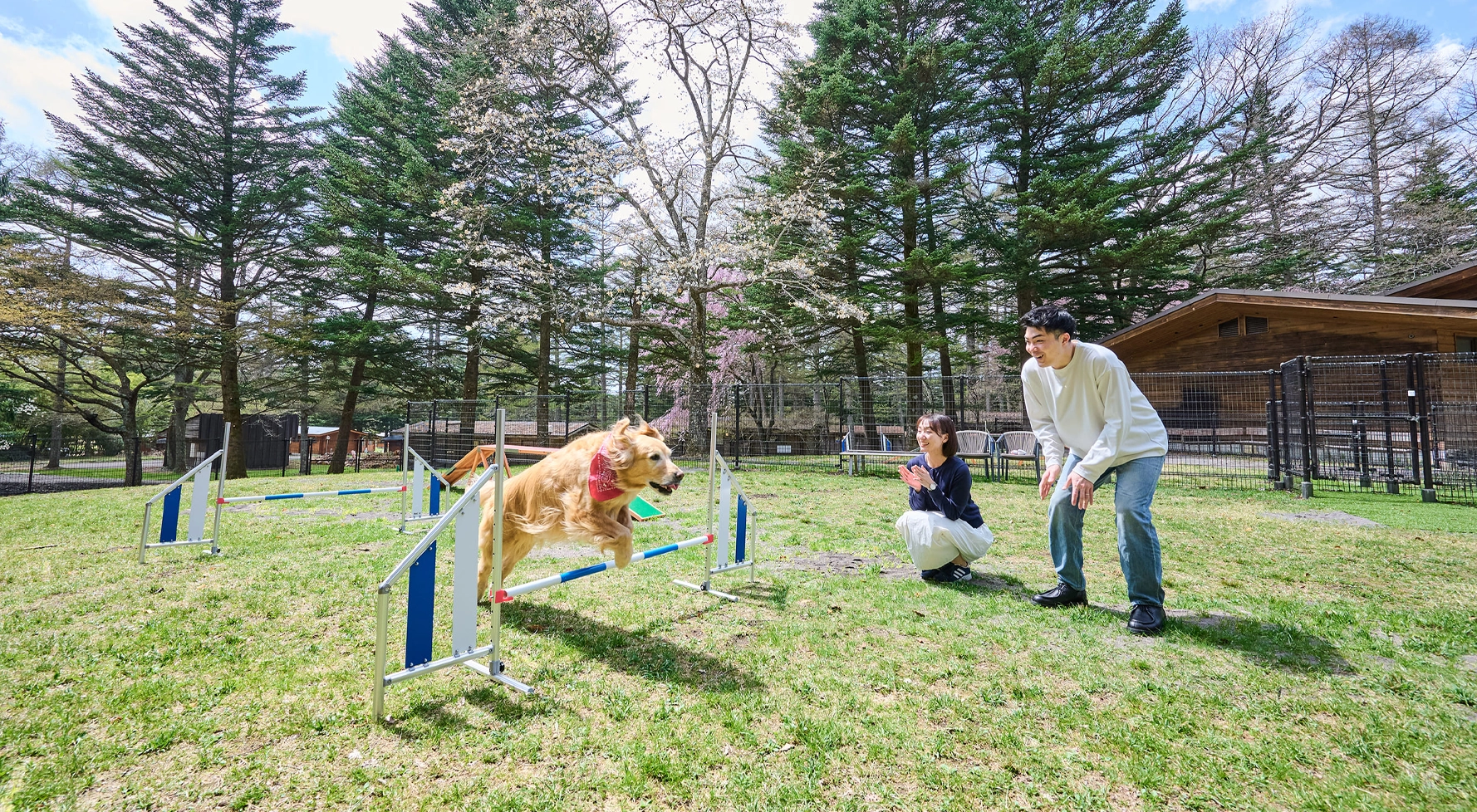 ドッグパーク