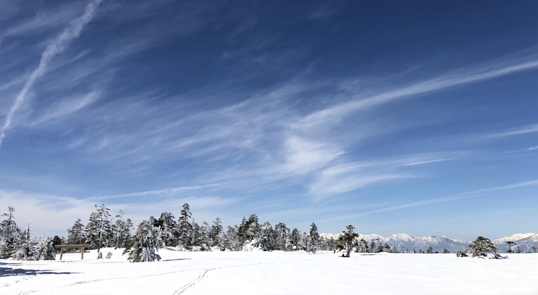志賀高原プリンスホテル