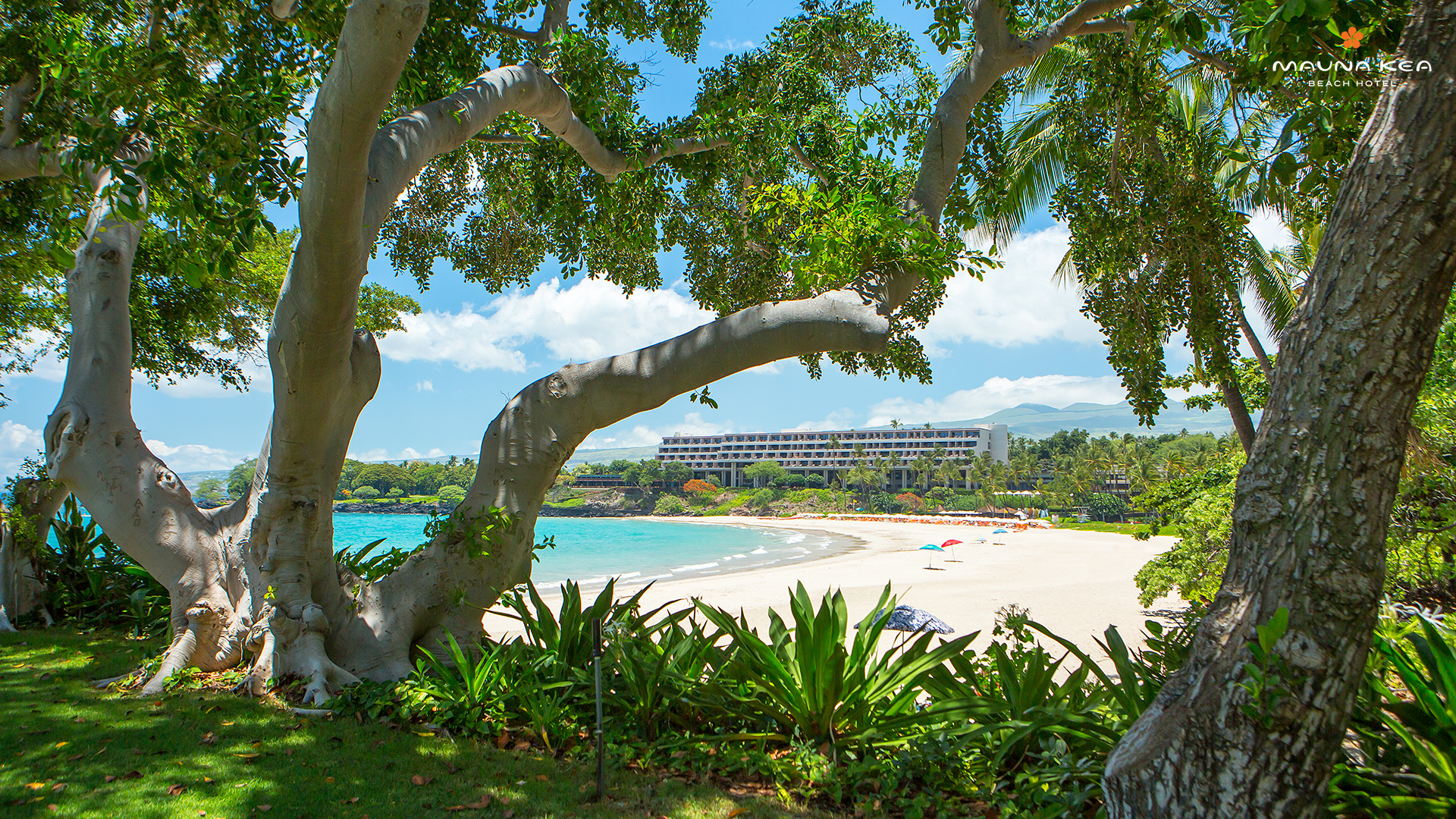 壁紙バックナンバー プリンスホテルズ リゾーツ