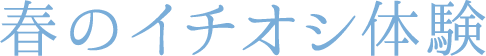 春のイチオシ体験