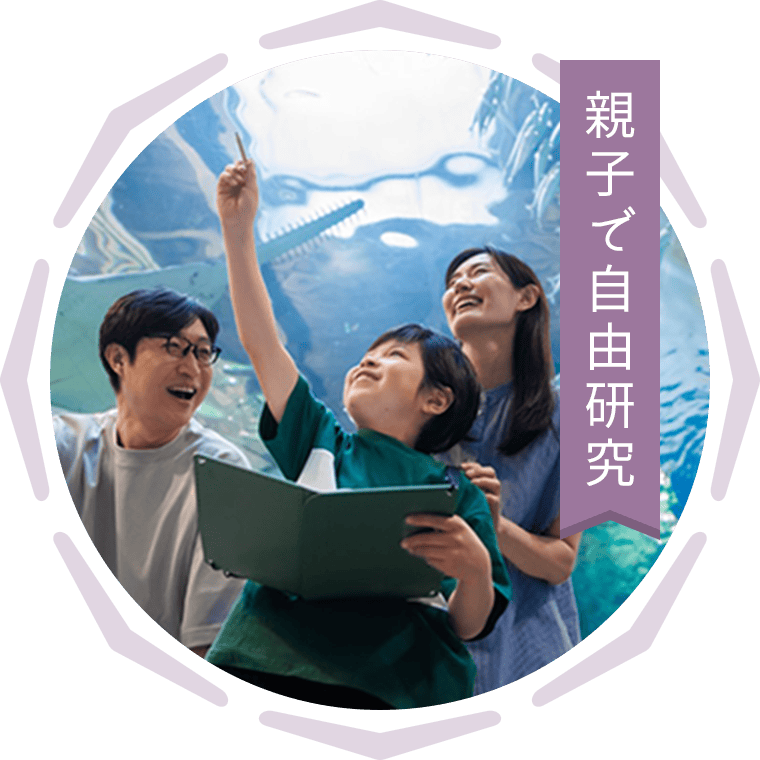 親子で自由研究