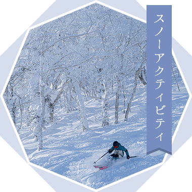 スノーアクティビティ