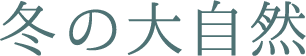 冬の大自然
