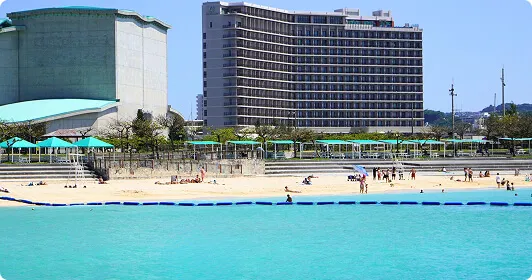 乗り物・体験・観光情報画像