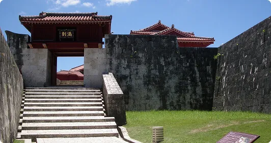 乗り物・体験・観光情報画像