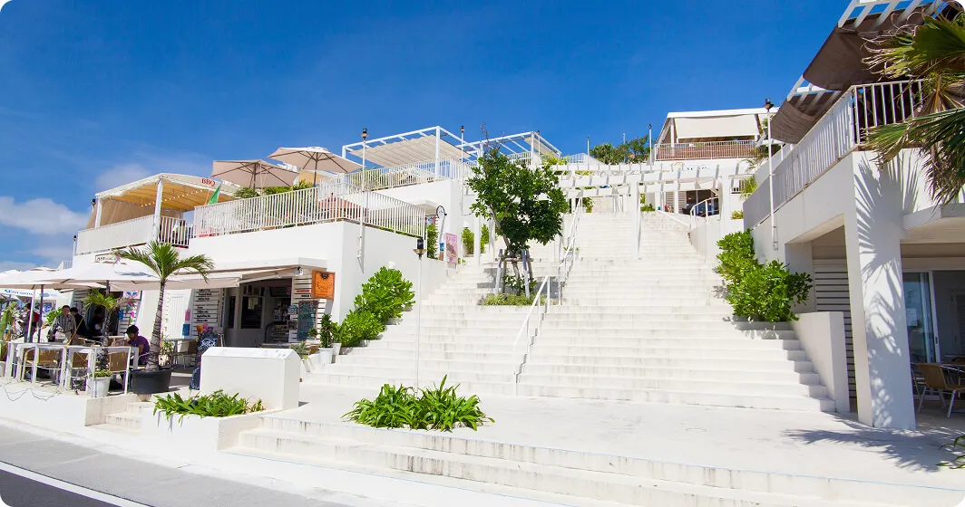 乗り物・体験・観光情報画像