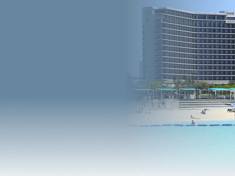 セクションタイトル背景