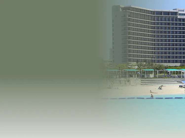 セクションタイトル背景