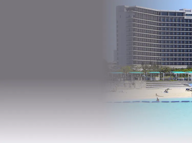 セクションタイトル背景