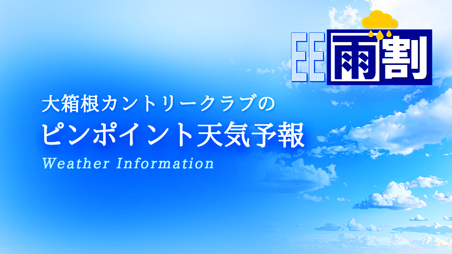 ピンポイント天気